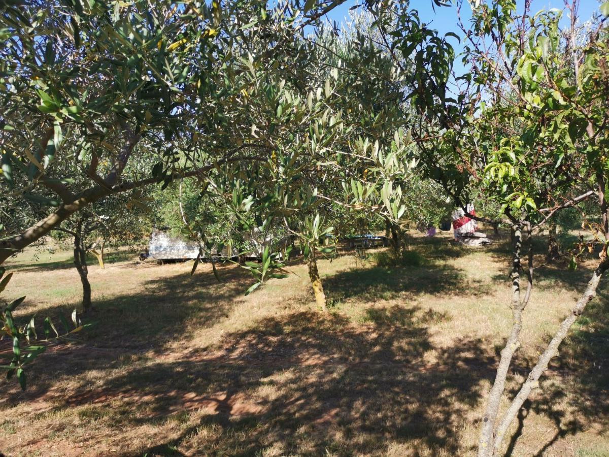 Jacuzi Cottage In The Olive Grove Пула Екстер'єр фото