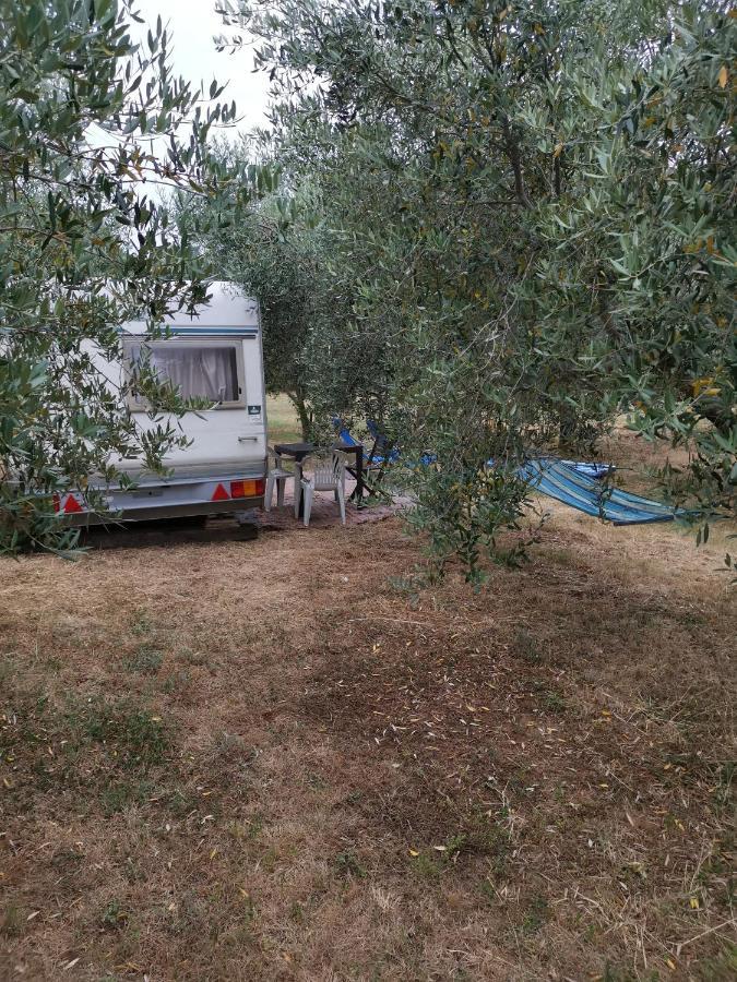 Jacuzi Cottage In The Olive Grove Пула Екстер'єр фото