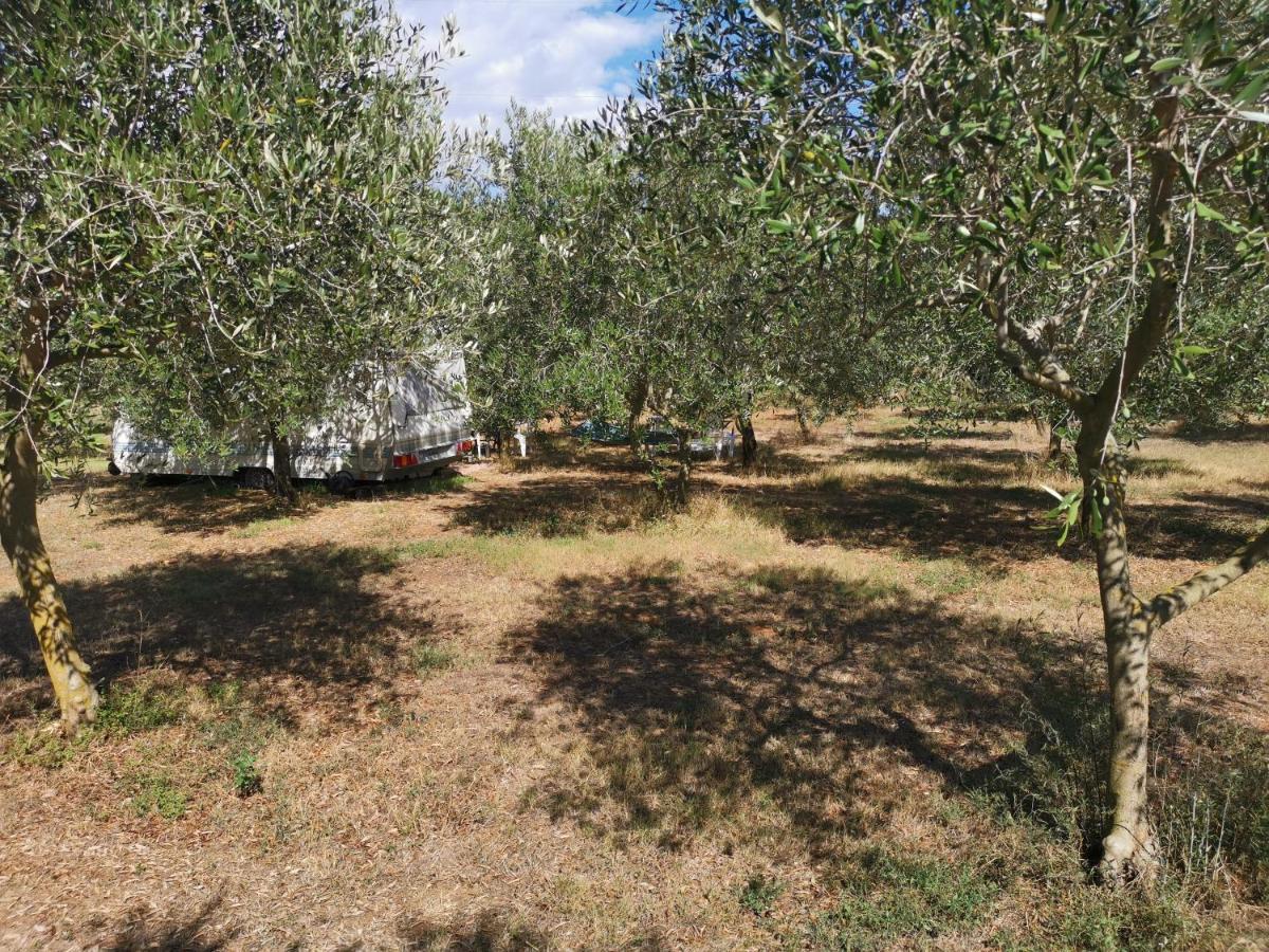 Jacuzi Cottage In The Olive Grove Пула Екстер'єр фото